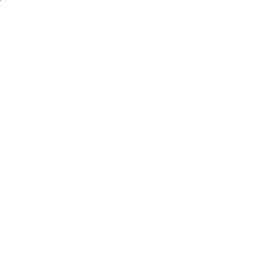 WANDKINGS Wandtattoo Spruch   No risk no fun [Größe & Farbe
